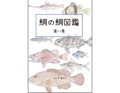 鯛の鯛図鑑