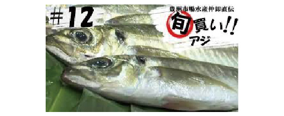 豊洲市場水産仲卸直伝「旬買い！」